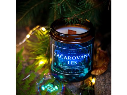 Dizajn bez názvu (34)