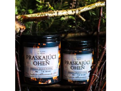 Dizajn bez názvu (36)