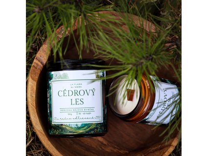 Sójová sviečka CÉDROVÝ LES