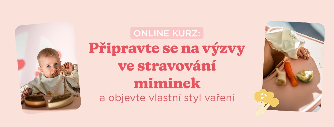 ONLINE KURZ
