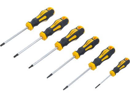 Set skrutkovačov torx, T10-T30 6ks