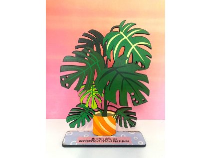 Monstera deliciosa - bezúdržbová izbová rastlinka - drevená pop-up rastlinka