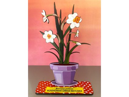 Narcissus poeticus - bezúdržbová izbová rastlinka - drevená pop-up rastlinka
