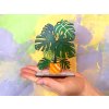 Monstera deliciosa - bezúdržbová izbová rastlinka - drevená pop-up rastlinka