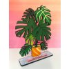 Monstera deliciosa - bezúdržbová izbová rastlinka - drevená pop-up rastlinka