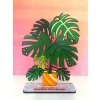 Monstera deliciosa - bezúdržbová izbová rastlinka - drevená pop-up rastlinka