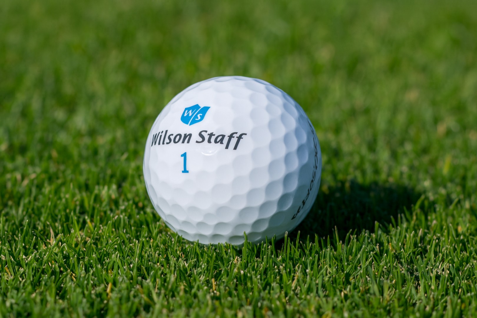 Golfový míček na trávě