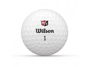 wilson