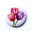 Placka tulipány