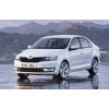 z12127897Q,Skoda Rapid