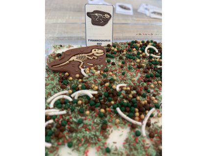 Smyslová doza pro senzorické hraní na téma Dinosauři