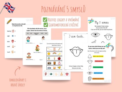Pracovní listy 5 smyslů v angličtině pro děti – výuka angličtiny hrou