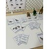 plakát a kartičky s dinosaury
