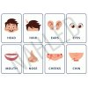 Anglické výukové karty pro děti – části těla s barevnými ilustracemi