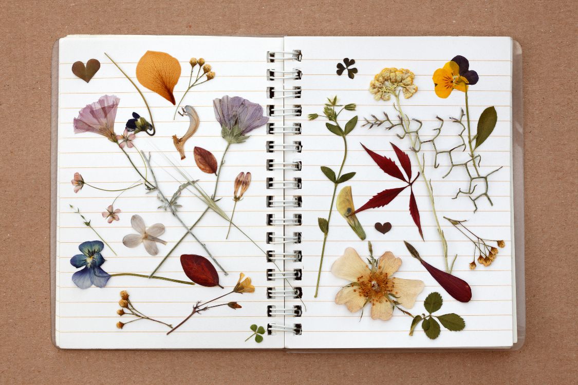 detska-zvedavost-lalalu03