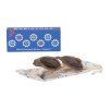 Babiators keyholes cocoa cloud3