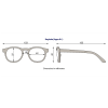 Keyhole Classic Tortoise 3-5 years