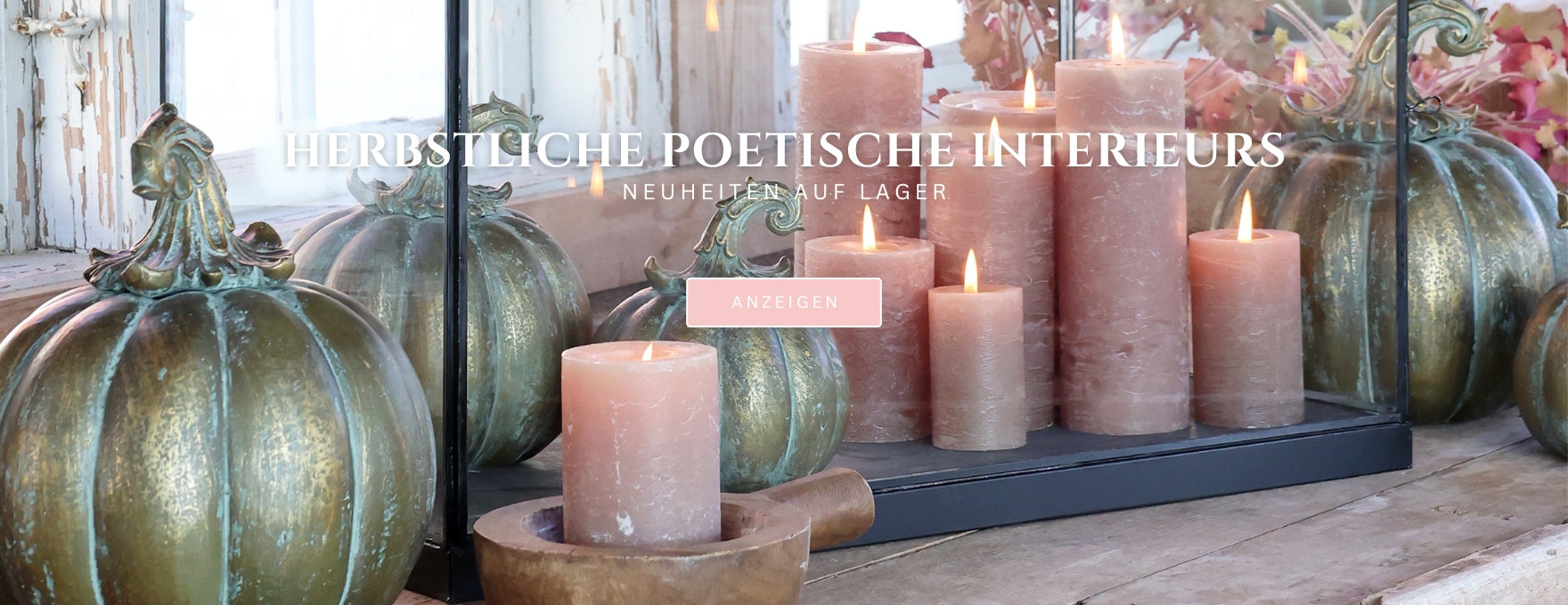 NEUHEITEN