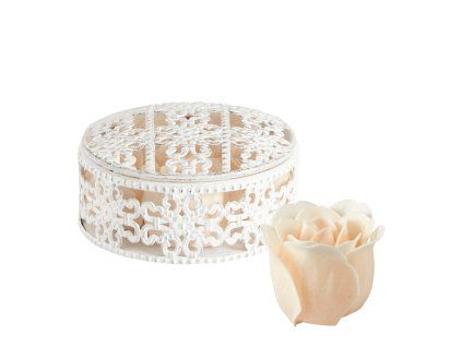 SADA 6 MYDLOVÝCH RUŽÍ MATHILDE-M (COFROSEN)