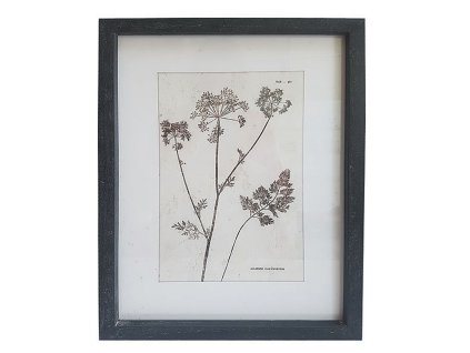 BILD MIT KRÄUTERN 30X40 INNENRÄUME