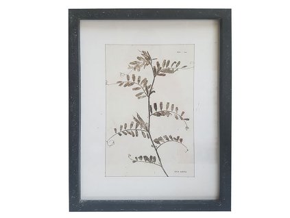 BILD MIT KRÄUTERN 30X40 INNENRÄUME