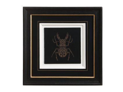 BILD MIT KÄFERMOTIV INNEN (QAPRB)