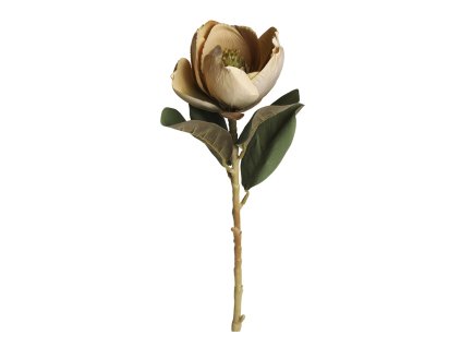 MAGNOLIENBLÜTE 74 CM CHIC ANTIQUE (39090315)