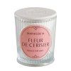 bougie parfumee les intemporelles 145g fleur de cerisier