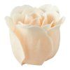coffret parfume de 6 roses de savon nude (3)