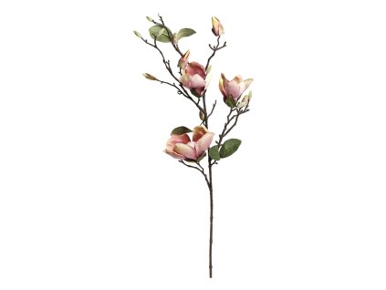 KVET MAGNÓLIE 87 CM CHIC ANTIQUE (39090507)