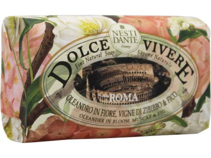 MYDLO TUHÉ NESTI DANTE 250G ROMA