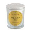 bougie parfumee les intemporelles 145g mimosa joli
