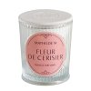bougie parfumee les intemporelles 145g fleur de cerisier
