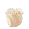 boite coeur de 3 roses de savon nude parfum rose (1)