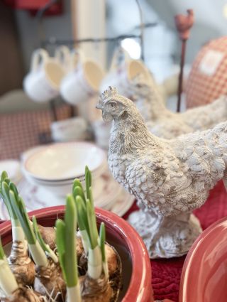 Pripravení na jar? My áno! 🐔🐣 Aj keď ju poctivo privolávame, dnes to skôr v Bratislave pôsobí ako v decembri. ❄️ Tak si ju...