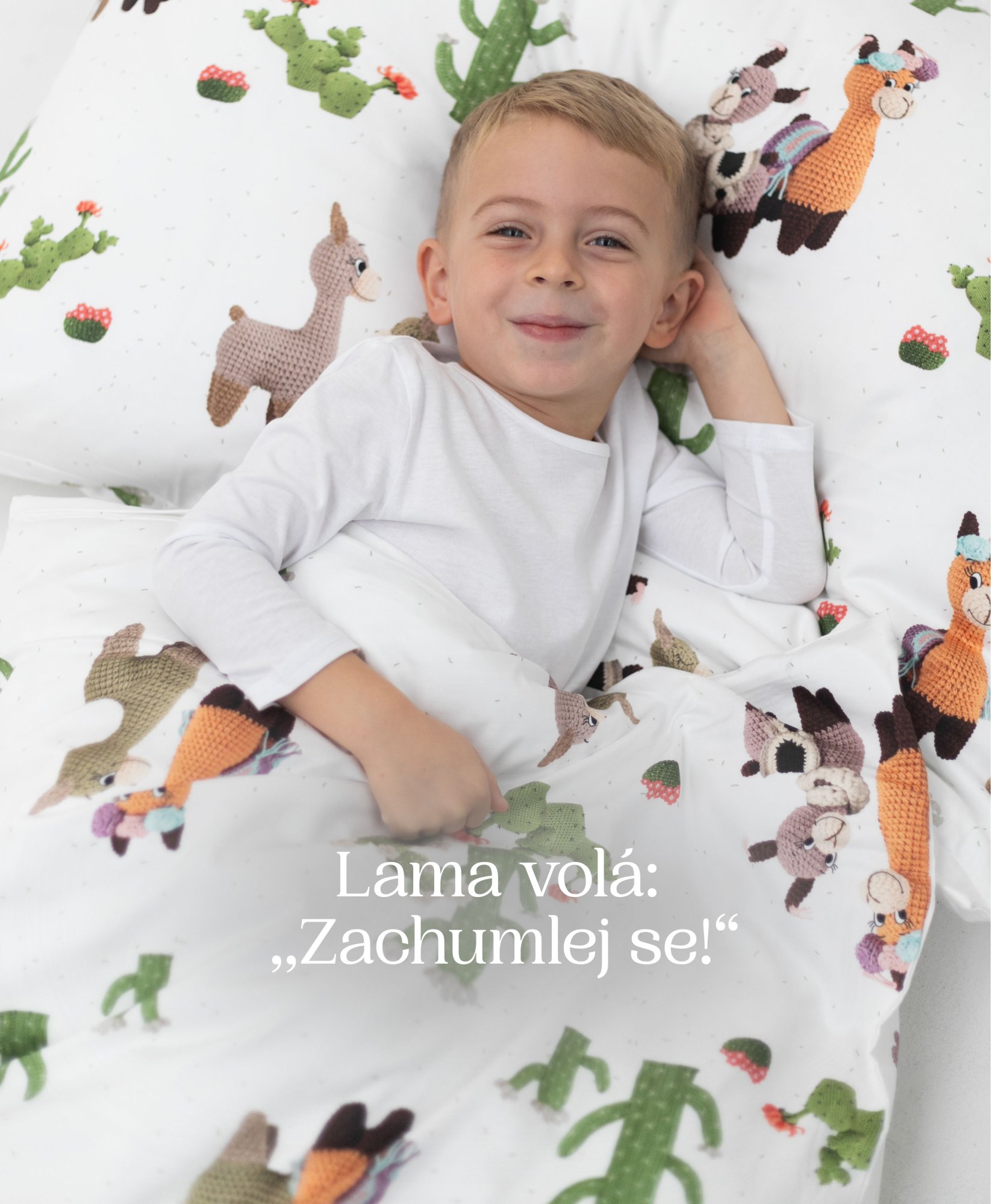 ㅤㅤㅤㅤㅤㅤㅤㅤㅤㅤㅤㅤ