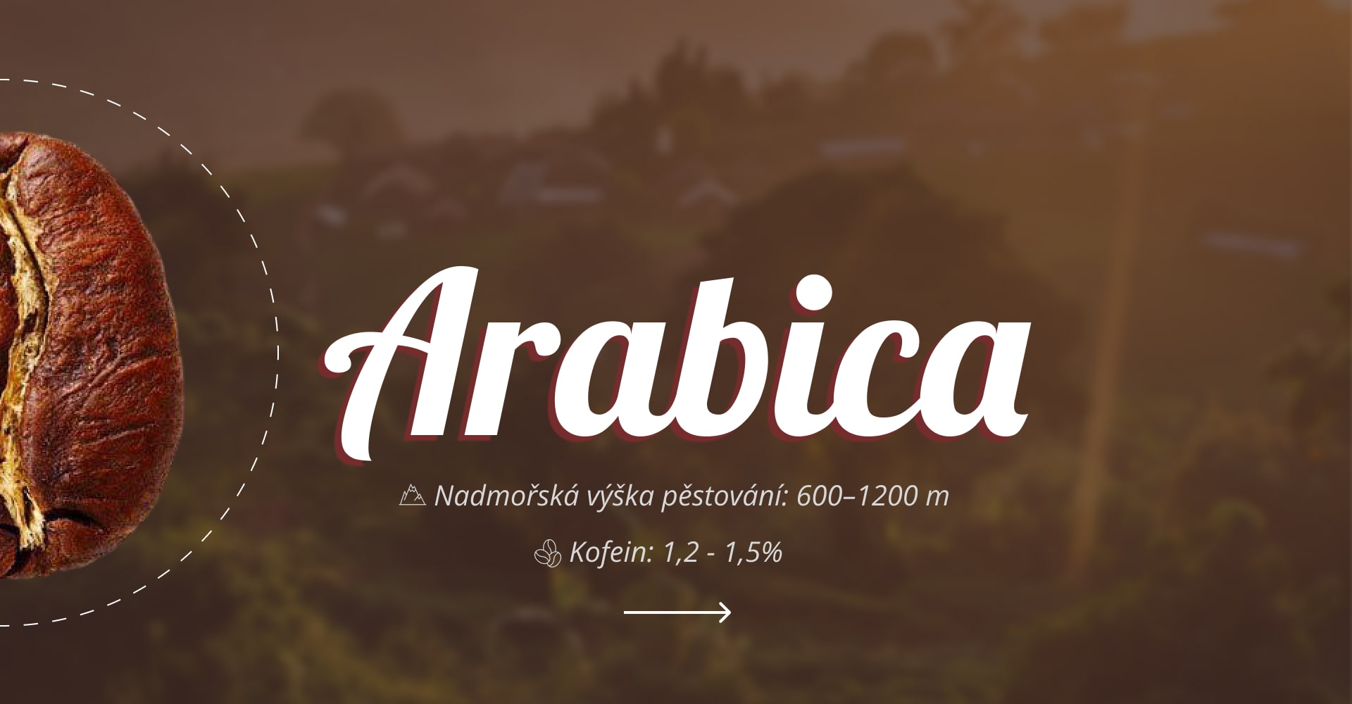 Káva Arabica | Lamcafe.cz