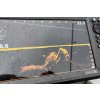 EagleEye DS FWD Live 456 905o