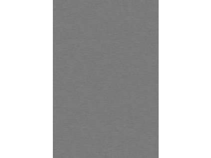 DTD K523 PE disk platinový 2800/2070/18mm