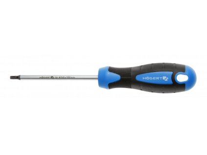 Skrutkovač T25 torx oceľ 100mm