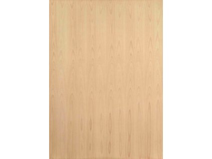 DTD Dyha Buk B/B Flader/Radial 2520/1810/17mm