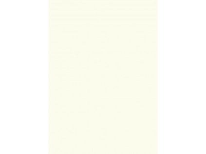 DTDL W908 ST2 BIELA PERLA