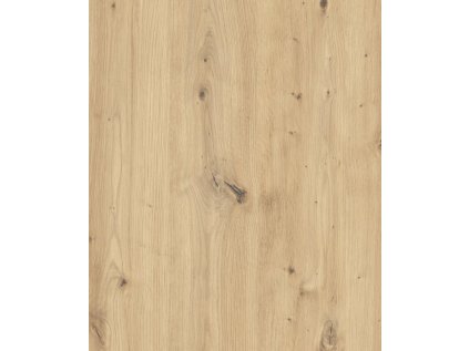 d010946 011 artisan 50x60[1]
