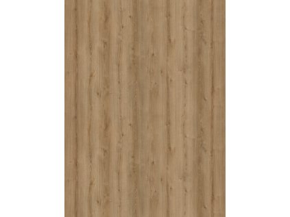 4421 IR Platte.3fce7d75.ea30f463