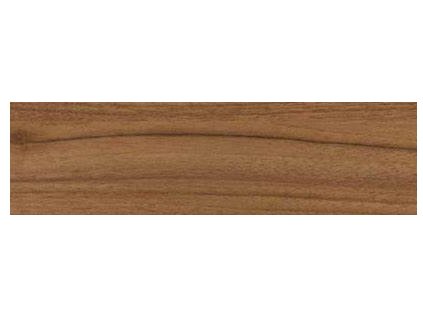 ABS 43/2 H3734 ST9 Orech Dijon