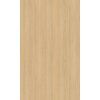 DTD H3157 ST12 dub Vicenza 2800/2070/10mm