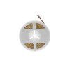 Pásik LED COB 8mm 24V 10W/m studená biela 5m