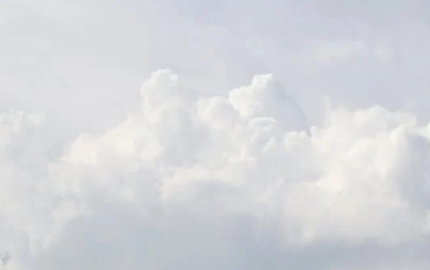 bílá