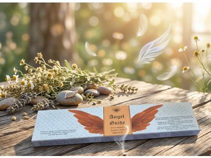 Anděl průvodce