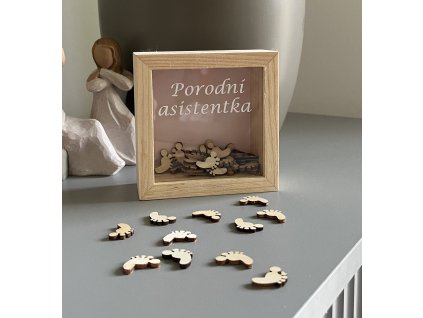 Počítadlo porodů pro porodní asistentky
